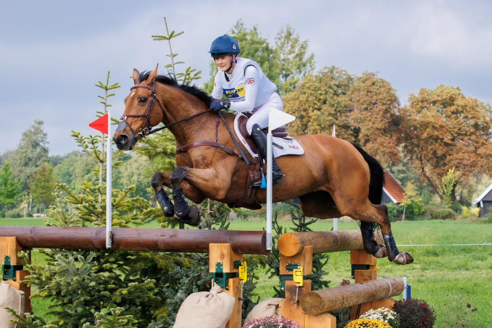 深度与意图, 一场锦标赛